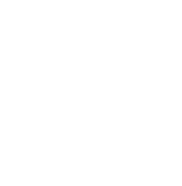 AllStarsSchool - logo - white