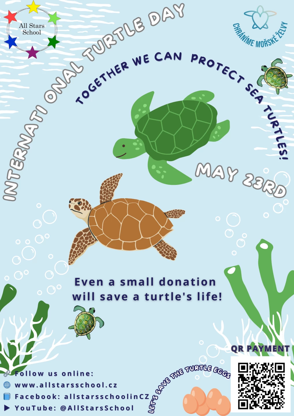World Turtle Day at School – Let’s Help Protect Sea Turtles!